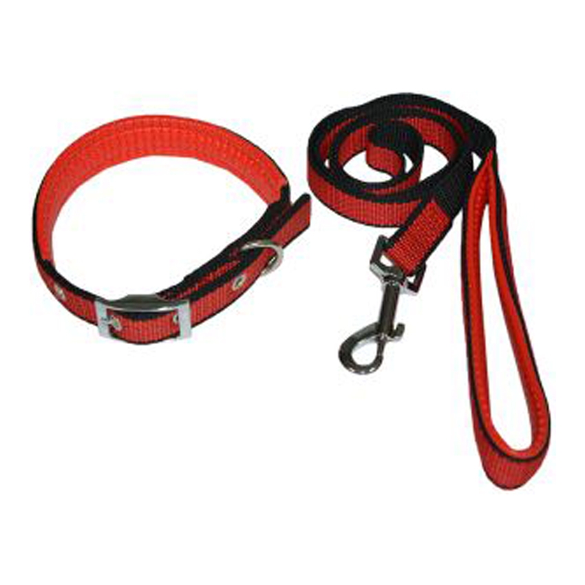 Dog Collar & Leashes