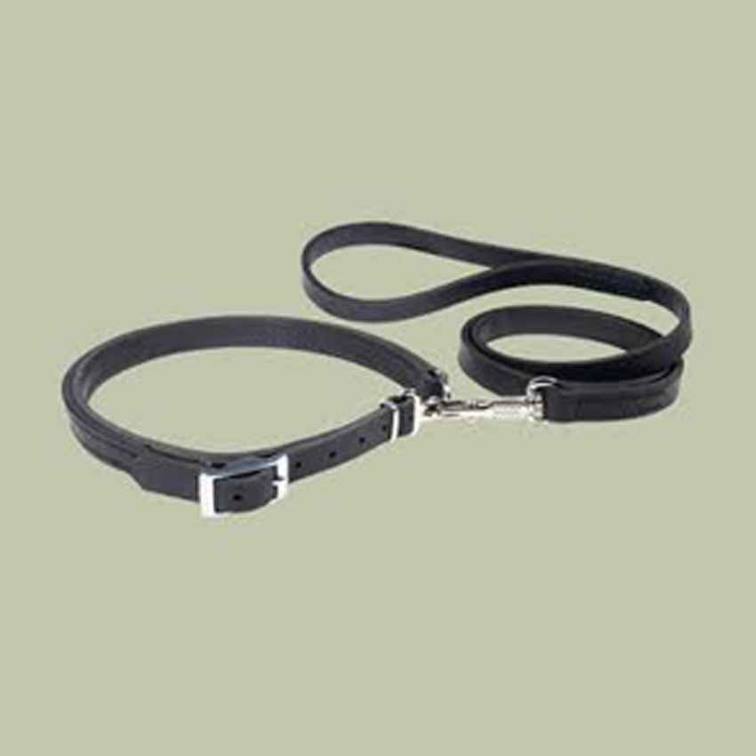 Dog Collar & Leashes