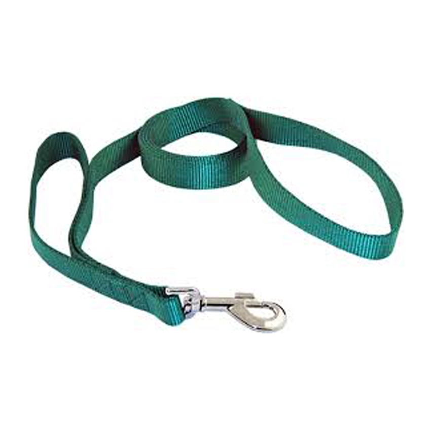 Dog Collar & Leashes